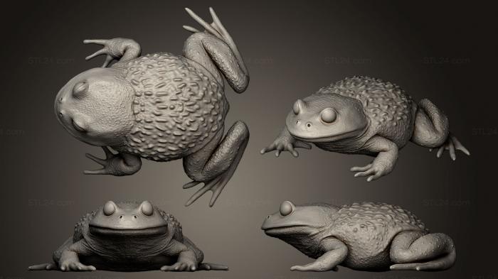 Animal figurines (Rana Chilena, STKJ_0613) 3D models for cnc